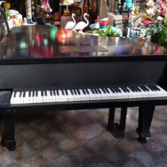 Musical Instruments & Sheet Music