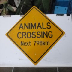 Animals / Plants / Rocks