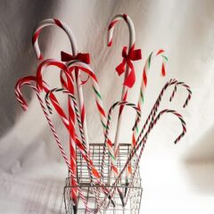 Seasonal Festivities & Celebrations