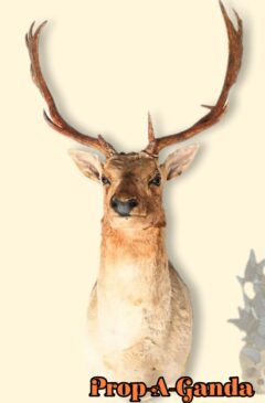 Taxidermy & Animal Print Rugs